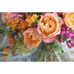 Meet your Posher, Maddy